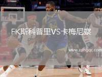 FK斯科普里VS卡梅尼察