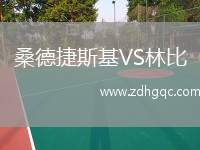 桑德捷斯基VS林比