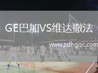 GE巴加VS維達撒法