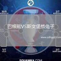 巴根熊VS斯文堡格兔子