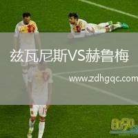 茲瓦尼斯VS赫魯梅