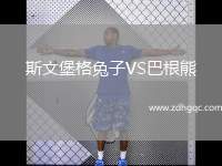 斯文堡格兔子VS巴根熊