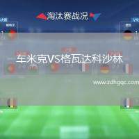 車米克VS格瓦達科沙林