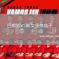 巴根熊VS斯文堡格兔子