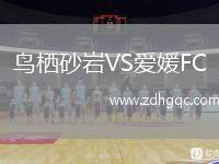 鳥棲砂巖VS愛媛FC