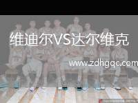 維迪爾VS達(dá)爾維克