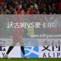 沃古姆VS豪卡爾