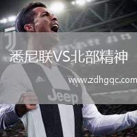 悉尼聯(lián)VS北部精神