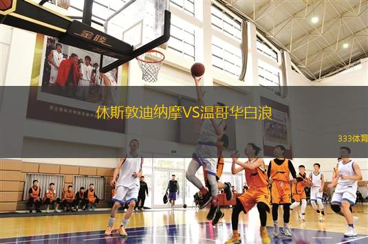IFK瓦納默VS埃爾夫斯堡