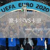豪卡爾VS卡里