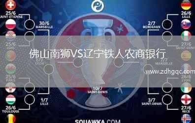 佛山南獅VS遼寧鐵人農(nóng)商銀行