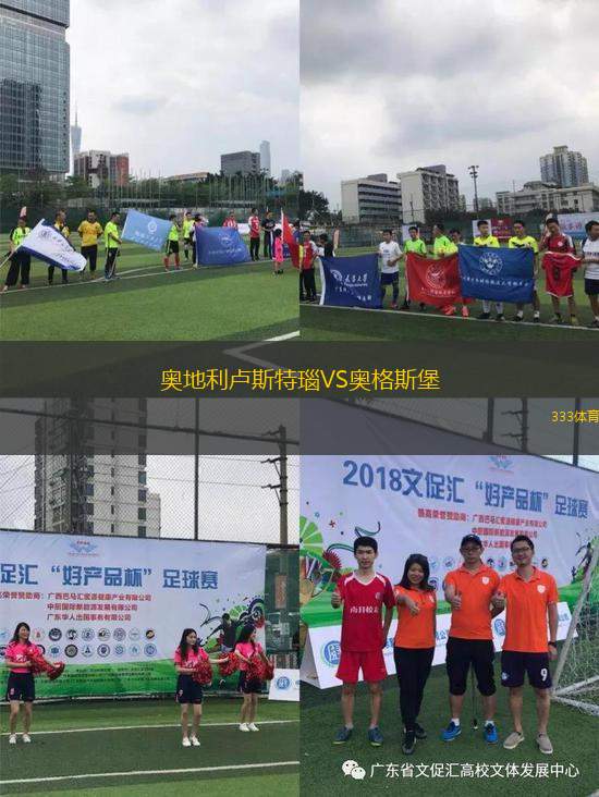 拉盧茲后備隊(duì)VS阿爾比恩后備隊(duì)