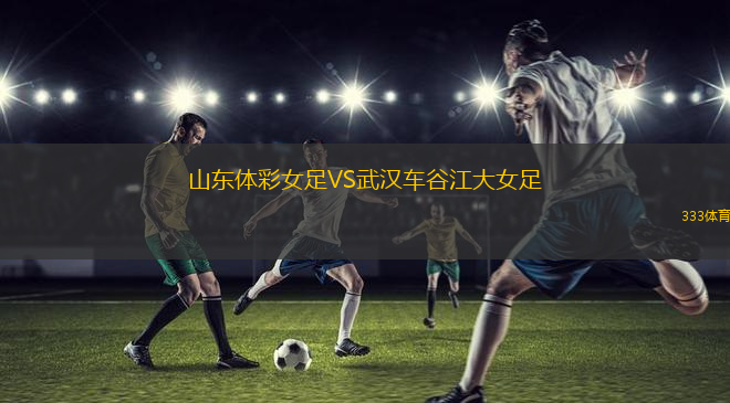 赫爾辛格VS布隆索伊