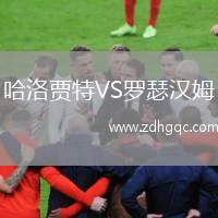 哈洛賈特VS羅瑟漢姆