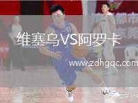 維塞烏VS阿羅卡