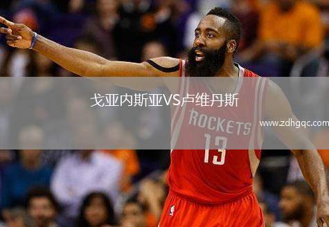 戈亞內斯亞VS盧維丹斯