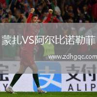 蒙扎VS阿爾比諾勒菲