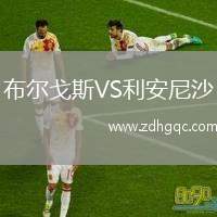 布爾戈斯VS利安尼沙