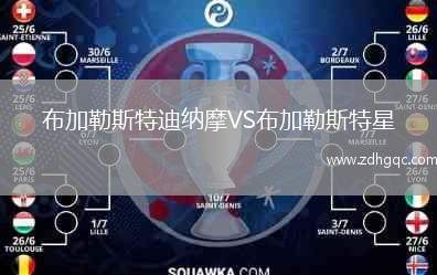 布加勒斯特迪納摩VS布加勒斯特星