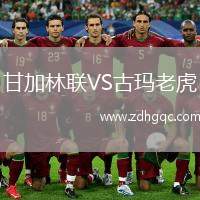 甘加林聯(lián)VS古瑪老虎