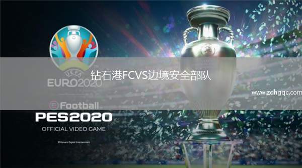 鉆石港FCVS邊境安全部隊