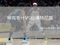 蒂克韋什VS拉博特尼基
