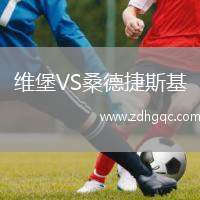 維堡VS桑德捷斯基