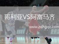 哥利亞VS阿富馬齊