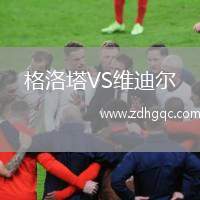 格洛塔VS維迪爾