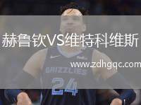 赫魯欽VS維特科維斯