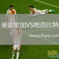 奧達(dá)里加VS格洛比納