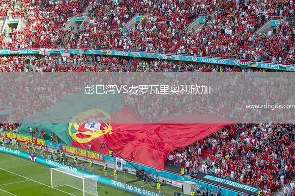 彭巴灣VS費(fèi)羅瓦里奧利欣加