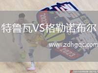 特魯瓦VS格勒諾布爾
