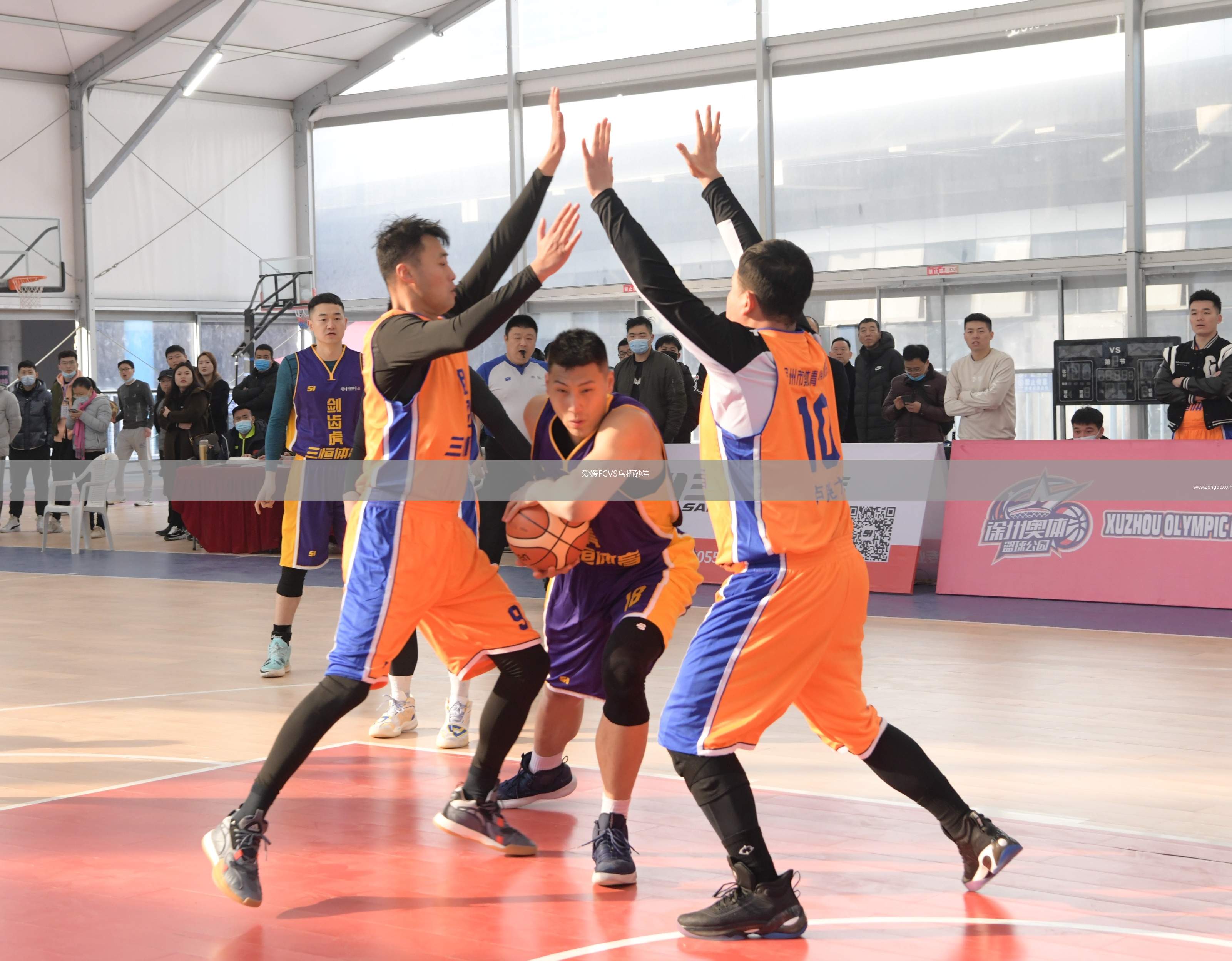 愛媛FCVS鳥棲砂巖