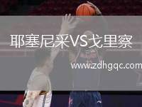 耶塞尼采VS戈里察