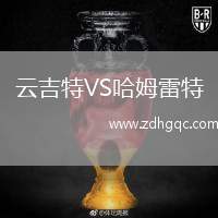 云吉特VS哈姆雷特