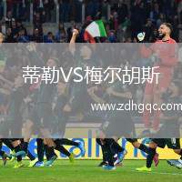 蒂勒VS梅爾胡斯