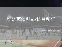 斯洛瓦茨科VS特普利斯