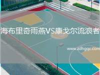 海布里奇雨燕VS康戈爾流浪者