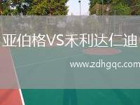 亞伯格VS禾利達(dá)仁迪
