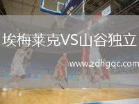 埃梅萊克VS山谷獨(dú)立
