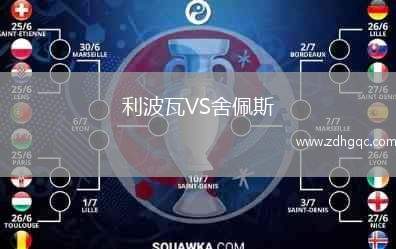 利波瓦VS舍佩斯
