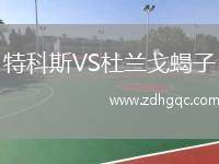 特科斯VS杜蘭戈蝎子