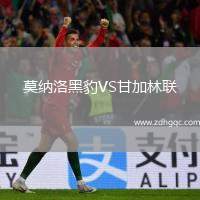 莫納洛黑豹VS甘加林聯(lián)