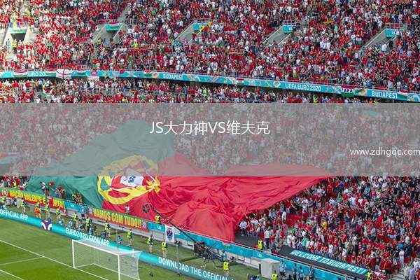 JS大力神VS維夫克
