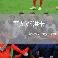 普尤VS洪卡