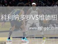 科利納多羅VS維德紐