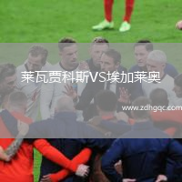 萊瓦賈科斯VS埃加萊奧