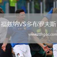 福茲納VS多布羅夫斯