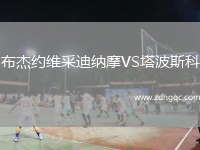 布杰約維采迪納摩VS塔波斯科